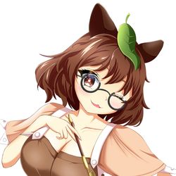 二ッ岩マミゾウ